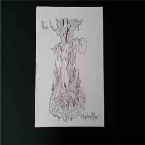 Elephant Tree - Theia
