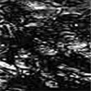 Damage Digital / Bastarbation - Damage Digital / Bastarbation