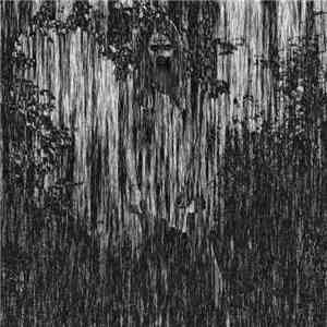 Forlorn Sights - Bound