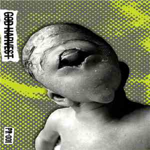God Harvest - Insulated