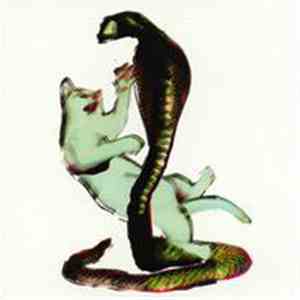Les Savy Fav - The Cat And The Cobra