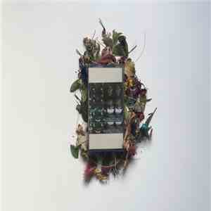 The Townhouses - Magpie