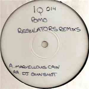 DJ Gunshot - Regulators (Remixes)