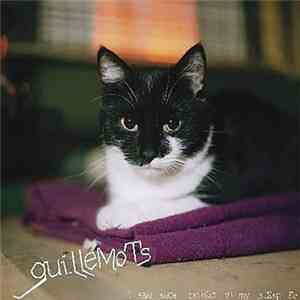 Guillemots - I Saw Such Things In My Sleep