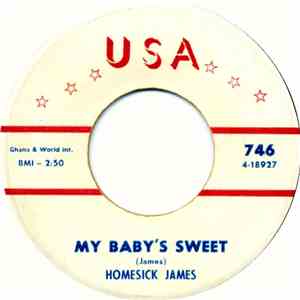 Homesick James - Crossroads