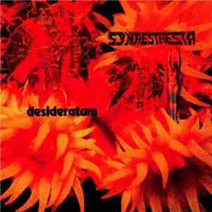 Synaesthesia - Desideratum