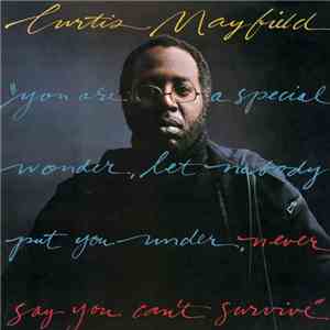 Curtis Mayfield - Never Say You Can't Survive