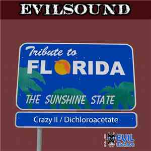 EvilSound - Tribute To Florida