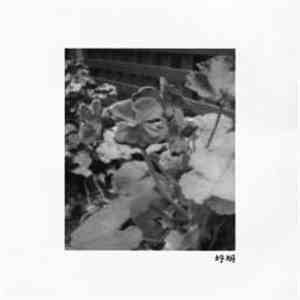 蜉蝣 - 0718