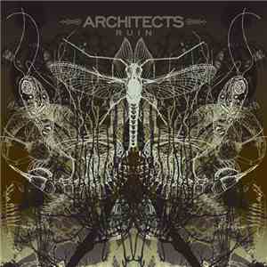 Architects  - Ruin