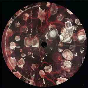 Dubfluss - Deep Travel