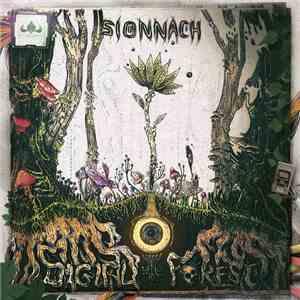 Sionnach - Digital Forest