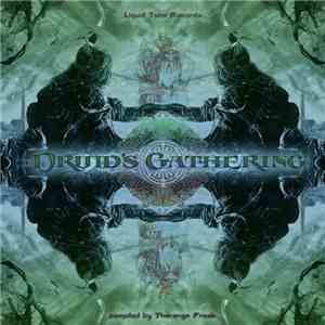 Various - Druid's Gathering