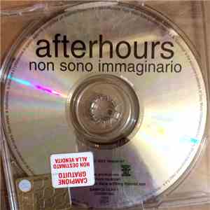 Afterhours - Non Sono Immaginario