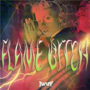Catnapp - Flame Bitch