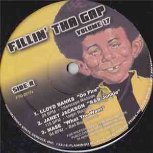 Various - Fillin' Tha Gap Volume 17