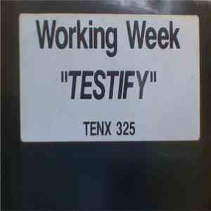 Working Week - Testify