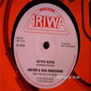 Aquizm & Mad Professor - Kunte Kinte