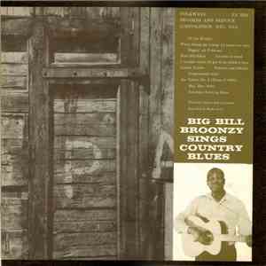Big Bill Broonzy - Big Bill Broonzy Sings Country Blues