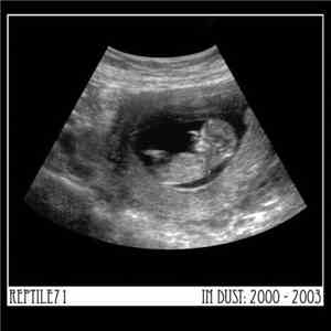 Reptile71 - In Dust: 2000 - 2003