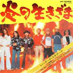 Lynyrd Skynyrd - You Got That Right