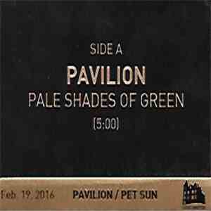 Pavilion  / Pet Sun - Pale Shades Of Green / Wish It Was
