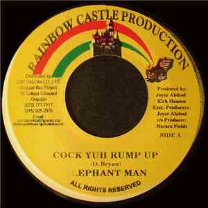 Elephant Man / Shotty Pooh - Cock Yuh Rump Up / Bacardi Mix Up