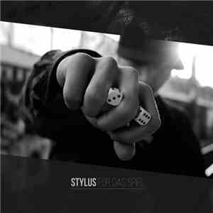 Stylus  - Für Das Spiel