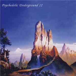 Various - Psychedelic Underground 12