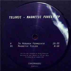 Teluric - Magnetic Forest EP