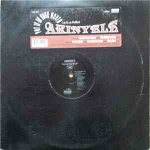 Akinyele - Put It In Your Mouth