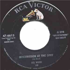 Del Wood - Intermission At The Opry / Are You From Dixie?