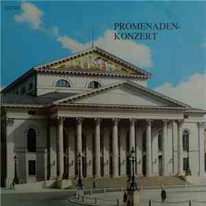 Ein großes Promenaden-Orchester, Das Kammerorchester Hans Michalowski - Promenaden-Konzert