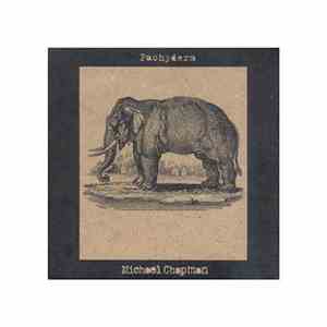 Michael Chapman  - Pachyderm