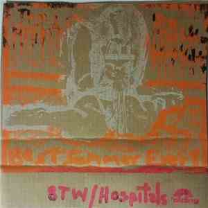 The Hospitals / Big Techno Werewolves - Best Summer Ever!
