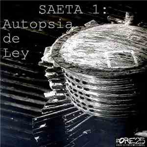 MA Pérez - Saeta 1: Autopsia De Ley