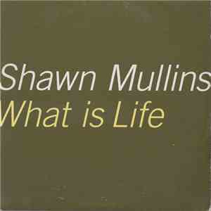Shawn Mullins - What Is Life