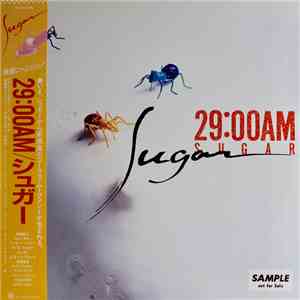 Sugar  - 29:00AM