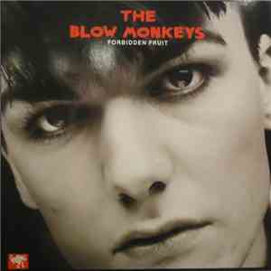 The Blow Monkeys - Forbidden Fruit