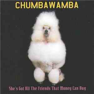 Chumbawamba - She's Got All The Friends That Money Can Buy