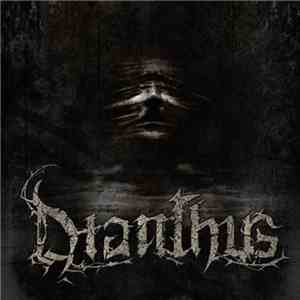 Dianthus  - Dianthus