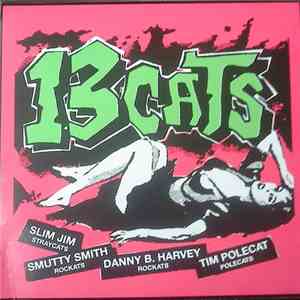 13 Cats - 13 Tracks