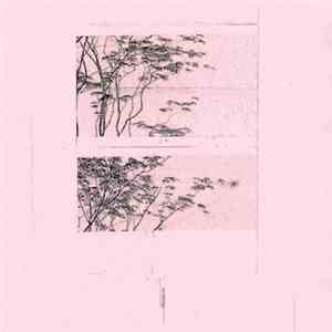Angelo Harmsworth - Eucalyptus