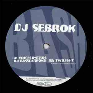 DJ Sebrok - Voicecontrol