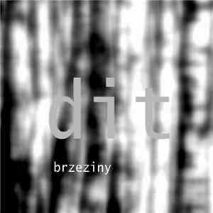 Dogs In Trees - Brzeziny