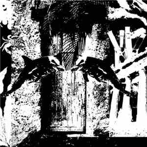Dolphin Tears - Reflections On Waterfront Property