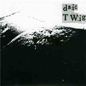 dsic - Twig