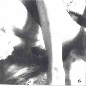 Hal Hutchinson - For Extreme Cinema 6