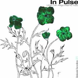In Pulse - Urban Owl