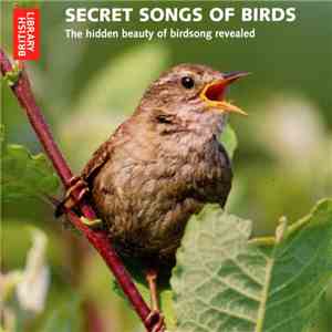 No Artist - Secret Songs Of Birds: The Hidden Beauty Of Birdsong Revealed